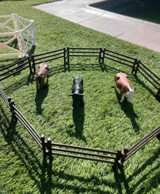 Conjunto Granja Hípica y Figuras Schleich