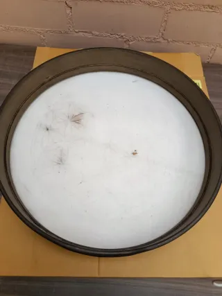 Tambor MEINL Sonic Energy 16" Flor de la Vida