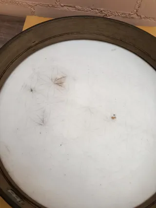 Tambor MEINL Sonic Energy 16" Flor de la Vida