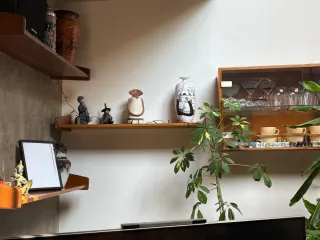 Vitrina y 3 estantes de madera