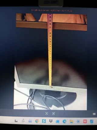 Pantalla Ordenador Acer AL1912