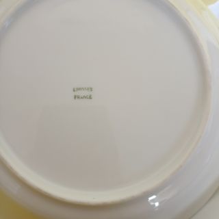 Vajilla de porcelana para Mejillones Limoges