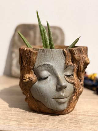 Maceta Cara Naturaleza 3D