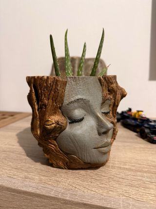 Maceta Cara Naturaleza 3D