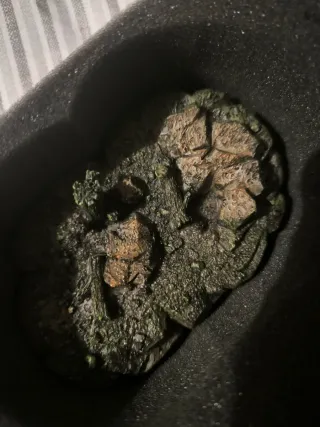 Velociraptor I-Joy Figura Dinosaurio