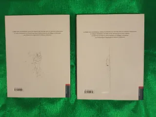 Comics, novela gráfica Una Biblia