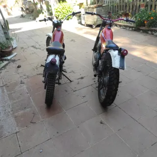 Montesa Cota 74 Trial