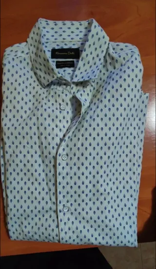 Camisa Massimo Dutti Estampado Plumas Azules
