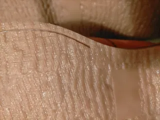 Zapatos Vitelo Marrones.