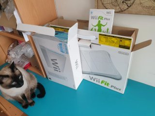 Nintendo+tabla+2juegos CERO horas