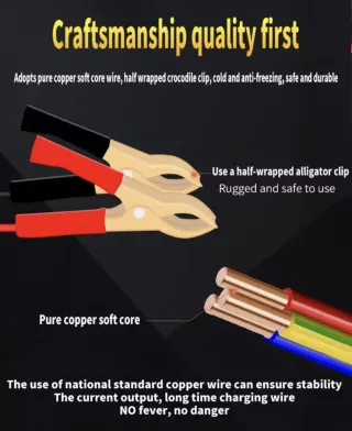 Cargador Batería Coche 12V 2AH-50AH