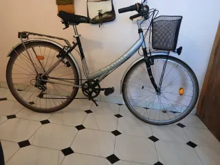 Bicicleta de paseo GLORIA plateada