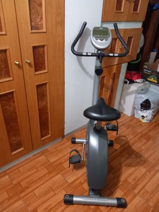 Bicicleta Estática BH Rhino