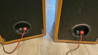 Altavoces Magnat Madera Marrones y Negros