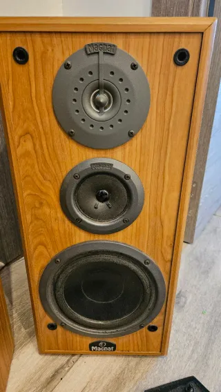 Altavoces Magnat Madera Marrones y Negros