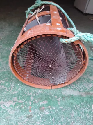 Nasas para pulpo (12 Uds)