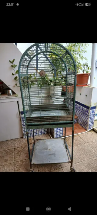 Jaula para pájaros verde y gris