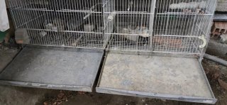 Jaula para pájaros o mascotas pequeñas