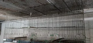 Jaula para pájaros o mascotas pequeñas