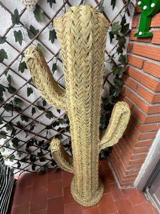 Cactus esparto 120cm y 80cm