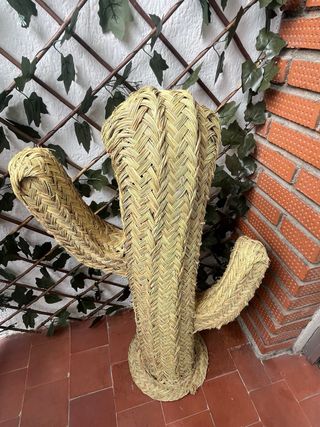 Cactus esparto 120cm y 80cm