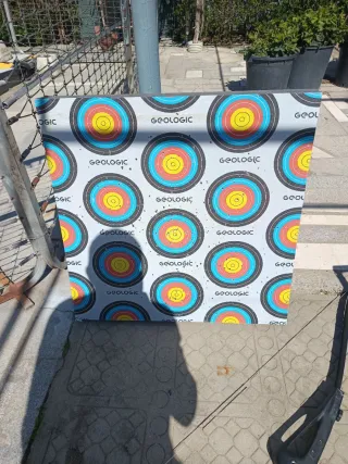 Arco deportivo Intech2 con diana y flechas