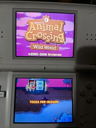 Animal Crossing Wild World Nintendo DS