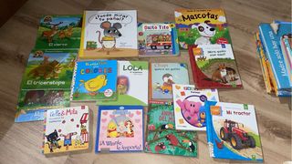 Lote cuentos/libros