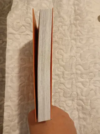 Jojo's bizarre adventure Parte 7. Steel Ball Ru...