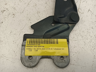 BISAGRA CAPO DERECHA RENAULT VEL SATIS (BJ0) P9X7
