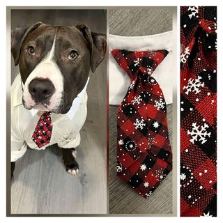 Corbata roja-blanca para mascota.