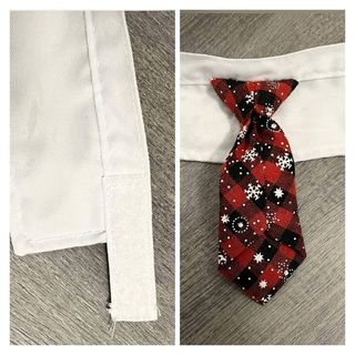 Corbata roja-blanca para mascota.