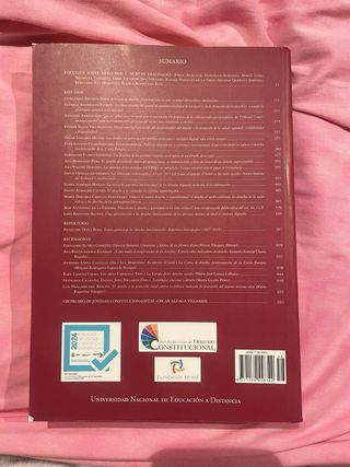 Teoria y realidad constitucional