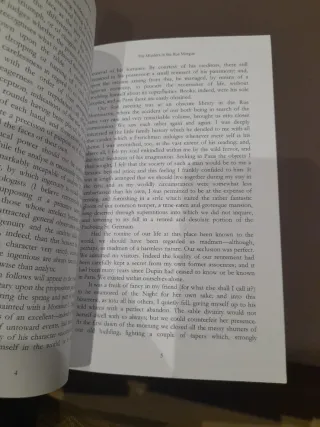 The Murders in the Rue Morgue