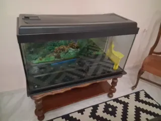 Acuario Grande Negro y Marrón