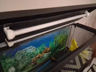 Acuario Grande Negro y Marrón