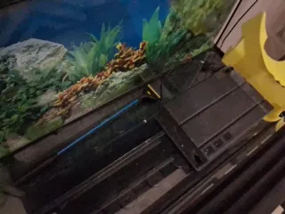 Acuario Grande Negro y Marrón