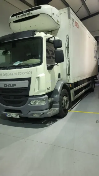 daf lf 290 2017
