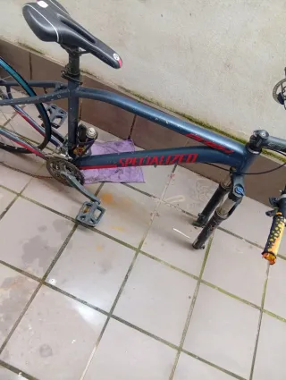 Chasis Specialized Bicicleta