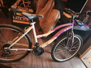Bicicleta de montaña blanca y morada