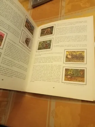 Libro Las Maravillas del Universo