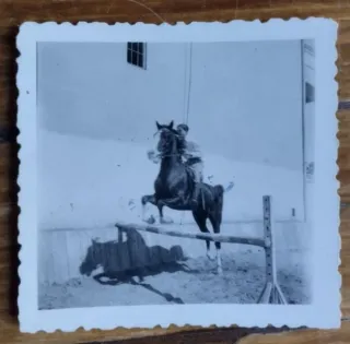 * Lote de fotografías antiguas hípica - caballo