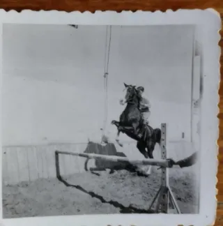 * Lote de fotografías antiguas hípica - caballo