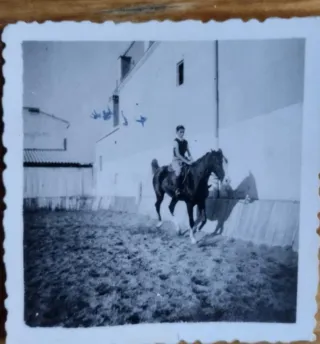 * Lote de fotografías antiguas hípica - caballo