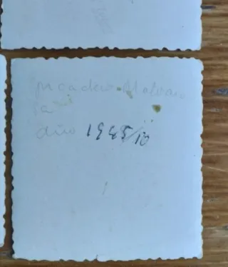 * Lote de fotografías antiguas hípica - caballo