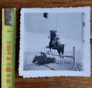 * Lote de fotografías antiguas hípica - caballo