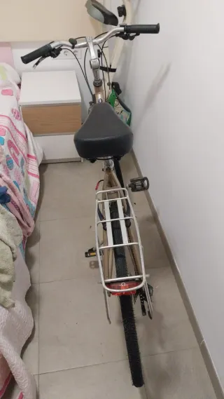 Bicicleta Paseo Aluminio Rueda 27