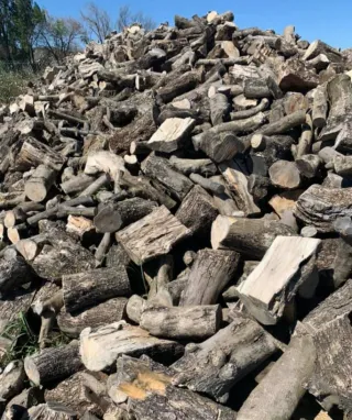 Leña de olivo verde para chimenea