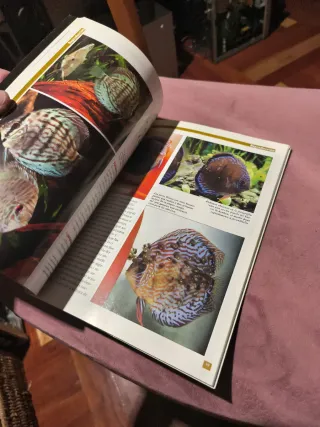 Libro sobre peces disco.