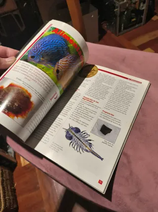 Libro sobre peces disco.